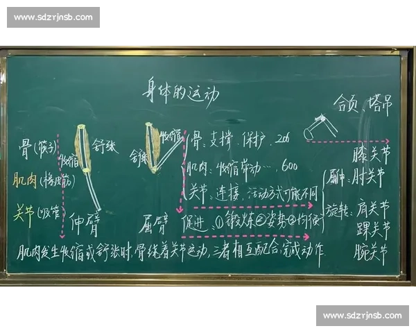 全面提升青少年体育运动能力的科学方法与实践探索