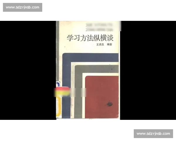 全面解析学习策略与方法助力个人水平持续稳步提升