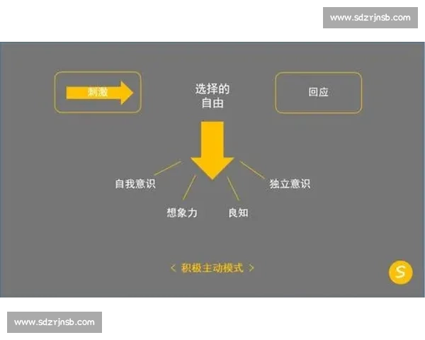 提升心理素质打造稳定情绪与高效人生的全面成长路径探索