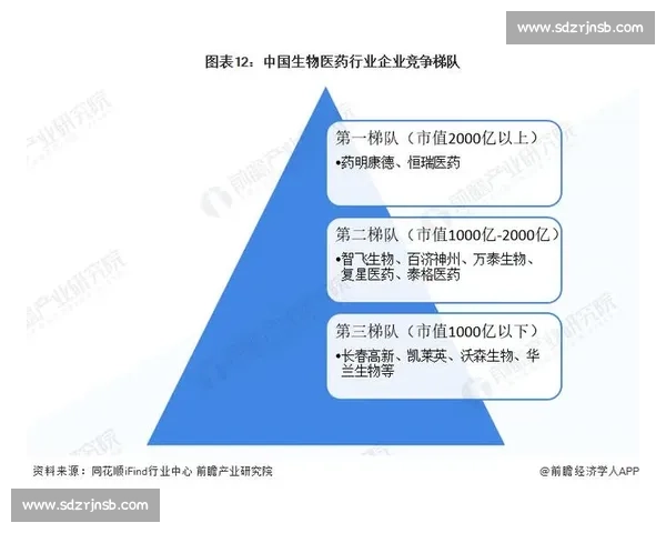 最新全球举重排名格局解析与各级别冠军实力全面盘点与趋势前瞻深度